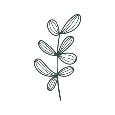 Botanical Floral Element