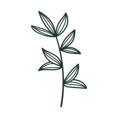 Botanical Floral Element