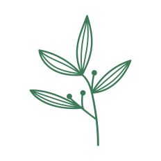 Botanical Floral Element