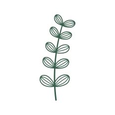 Botanical Floral Element