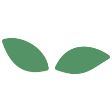 Leaves Silhouette