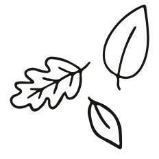 Doodle Autumn Leaves