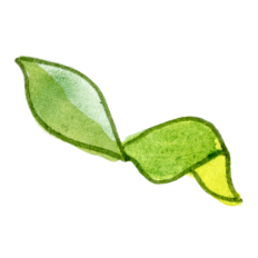 Watercolor Leaves