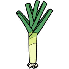 Leek