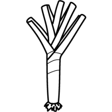 Leek Outline