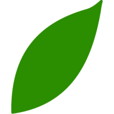 Leaf Silhouette