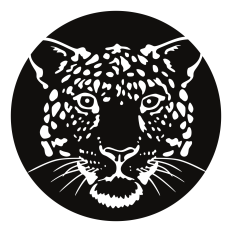 Leopard Face, Negative Space