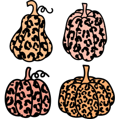 Leopard Print Pumpkins