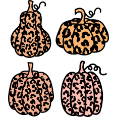 Leopard Print Pumpkins