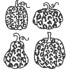 Leopard Print Pumpkins