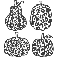 Leopard Print Pumpkins