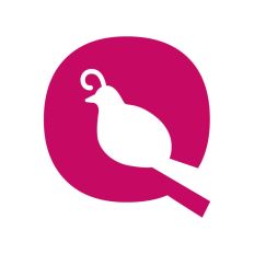 Modern Alphabet - Letter Q is for quail