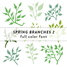 Spring Branches Full Color Font