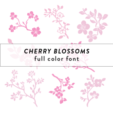 Cherry Blossoms Full Color Font
