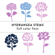 Hydrangea Stems Full Color Font