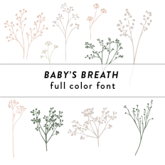 Baby's Breath Full Color Font
