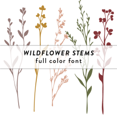Wildflower Stems Full Color Font