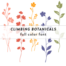 Climbing Botanicals Full Color Font