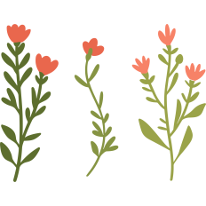 Wildflowers
