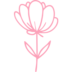 Daisy Flower
