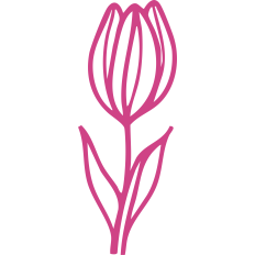 Line Art Tulip