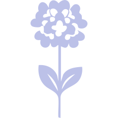 Hydrangea Stem