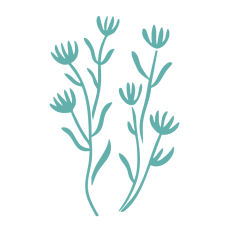 Botanical