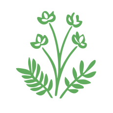 Botanical