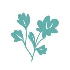 Botanical