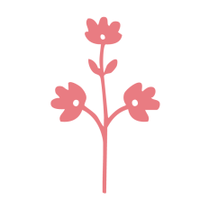 Botanical