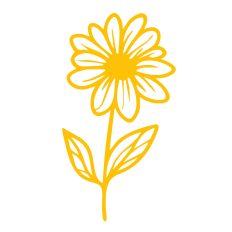 Daisy