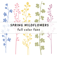 Spring Wildflowers Full Color Font