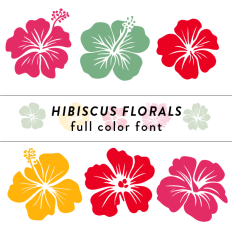 Hibiscus Flowers Full Color Font