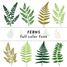 Ferns Full Color Font