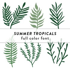 Summer Tropicals Full Color Font