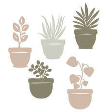 Houseplants Set