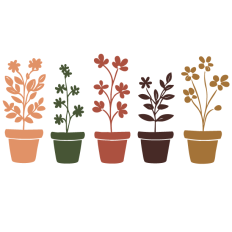 House Plants Set 2