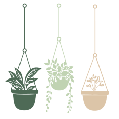 Houseplants Set 3