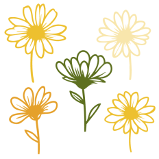 Daisy Set 2