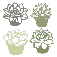 Succulent Set 1