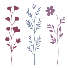 Wildflower Set 5