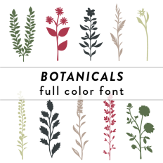 Botanicals Full Color Font