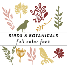 Birds & Botanicals Full Color Font