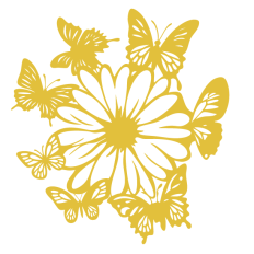Butterfly Daisy