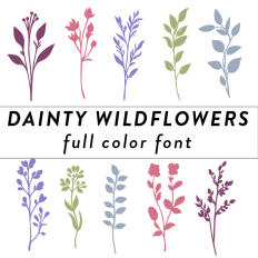Dainty Wildflowers Full Color Font