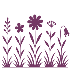 Wildflower Border