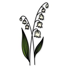 Lilly Of The Valley Birth Flower