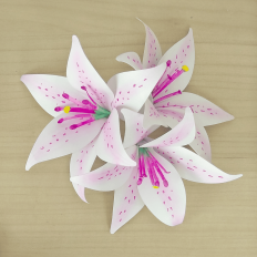 Lily Flower 3D