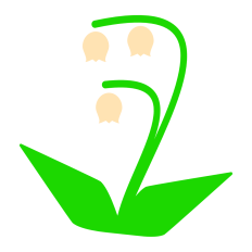 Lilly of the Valley Flowers