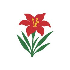 The Floral Collection - Lily